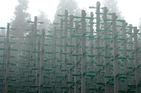 Beer Jungle in Qingdao