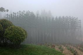 Beer Jungle in Qingdao