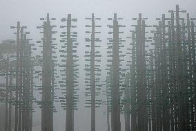 Beer Jungle in Qingdao