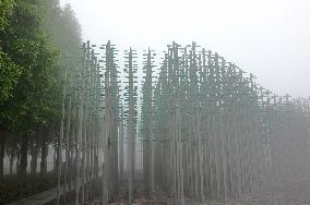 Beer Jungle in Qingdao