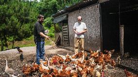 "Laowai" in China | Belgian youth leads idyllic life in SW China