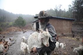 "Laowai" in China | Belgian youth leads idyllic life in SW China