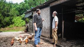 "Laowai" in China | Belgian youth leads idyllic life in SW China