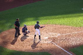 MLB Colorado Rockies Vs. New York Mets