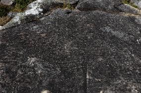 Petroglyphs Of A Gurita