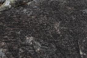 Petroglyphs Of A Gurita