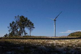 Wind Farm In Monte Da Muralla