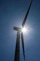 Wind Farm In Monte Da Muralla