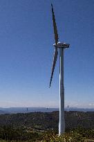 Wind Farm In Monte Da Muralla