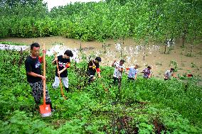 CHINA-ANHUI-WANGJIABA-HUAIHE RIVER-FLOOD CONTROL (CN)