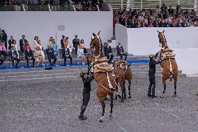 Olympic flame during the annual Bastille Day military parade - Paris