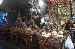 Daily Life In Kolkata