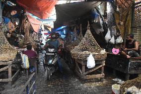 Daily Life In Kolkata