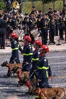 Bastille Day Military Parade : Troops - Paris