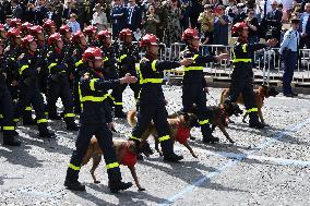 The annual Bastille Day military parade - Paris