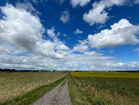 Landscape In Linköping, Sweden