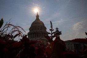 The US Capitol In Washington DC On July 14, 2024