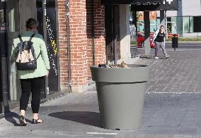 Mallard duck hatching in down town