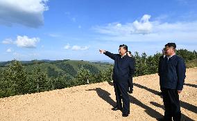 Profile: Xi Jinping the reformer