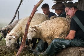 Traditional Cheese Making In High Mountains In Poland