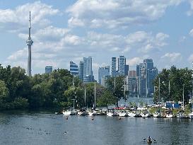 Daily Life On Centre Island