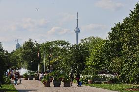 Daily Life On Centre Island