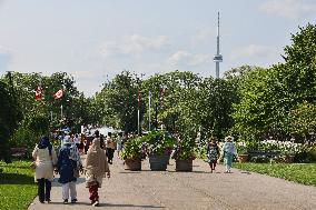 Daily Life On Centre Island