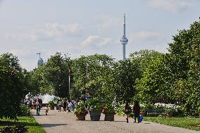 Daily Life On Centre Island