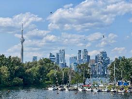 Daily Life On Centre Island