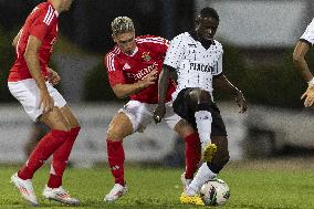 SL Benfica vs SC Farense