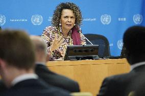 NY: United Nations Press Breifing On Sustainable Development In Africa