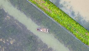 A Hairy Crab Ecological Breeding Pond in Suqian