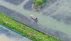 A Hairy Crab Ecological Breeding Pond in Suqian