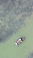 A Hairy Crab Ecological Breeding Pond in Suqian