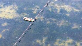 A Hairy Crab Ecological Breeding Pond in Suqian