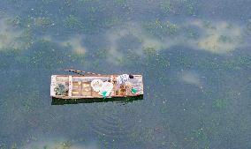 A Hairy Crab Ecological Breeding Pond in Suqian