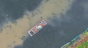 A Hairy Crab Ecological Breeding Pond in Suqian