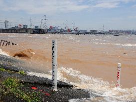 Gezhouba Dam Hub Flood Discharge And Sand Flushing in Yichang