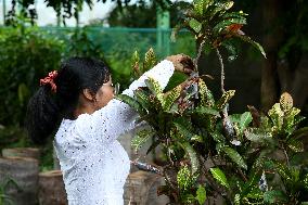 MYANMAR-NAY PYI TAW-AGRICULTURAL STUDENTS-CHINESE SCHOLARSHIP