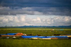 CHINA-INNER MONGOLIA-WEST UJIMQIN BANNER-GRASSLAND-SCENERY (CN)