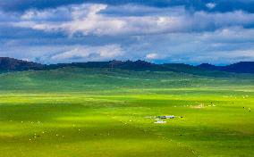 CHINA-INNER MONGOLIA-WEST UJIMQIN BANNER-GRASSLAND-SCENERY (CN)