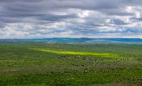 CHINA-INNER MONGOLIA-WEST UJIMQIN BANNER-GRASSLAND-SCENERY (CN)