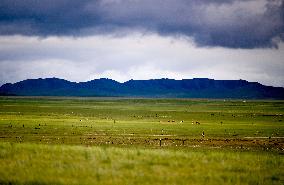 CHINA-INNER MONGOLIA-WEST UJIMQIN BANNER-GRASSLAND-SCENERY (CN)