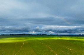 CHINA-INNER MONGOLIA-WEST UJIMQIN BANNER-GRASSLAND-SCENERY (CN)