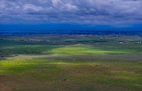 CHINA-INNER MONGOLIA-WEST UJIMQIN BANNER-GRASSLAND-SCENERY (CN)