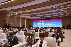 CHINA-BEIJING-DIGITIZED CONSERVATION OF CULTURAL HERITAGE-FORUM (CN)