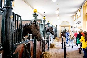 Opening of Noordeinde Palace And Royal Stables - The Hague