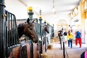 Opening of Noordeinde Palace And Royal Stables - The Hague