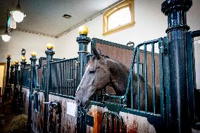 Opening of Noordeinde Palace And Royal Stables - The Hague