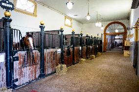 Opening of Noordeinde Palace And Royal Stables - The Hague